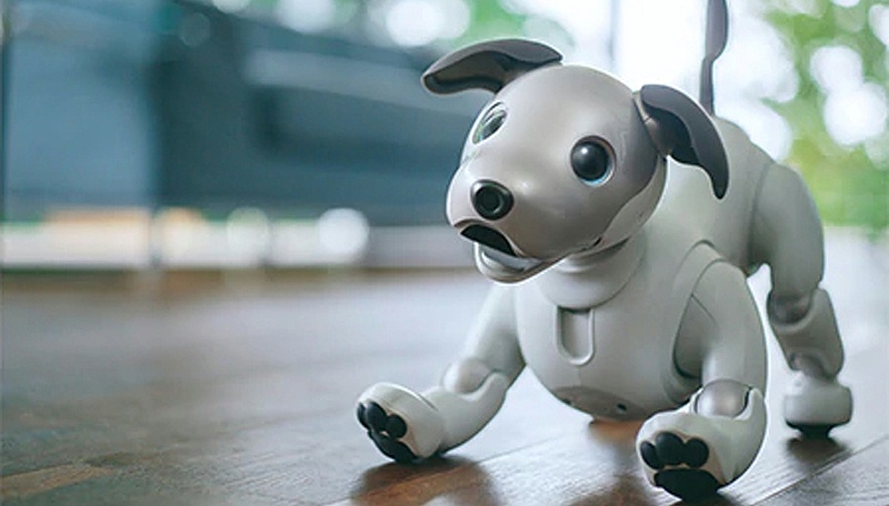 環保電子密封膠