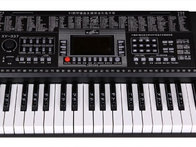 灌封防護(hù)性能為電子琴提供高性能粘接